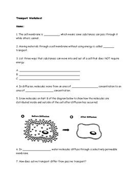 Active and Passive Transport Worksheet by Ashley Fotopoulos | TpT